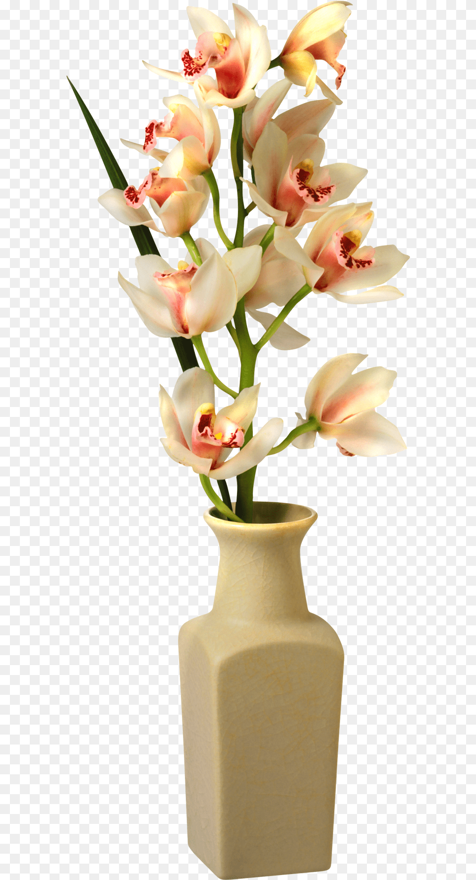 Tropical Flower Vase Transparent Transparent Flower Vase, Flower Arrangement, Jar, Plant, Pottery Png