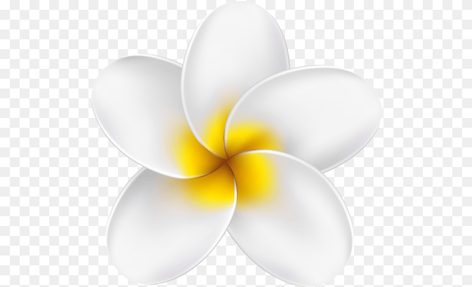 Tropical Flower Yellow Clipart, Petal, Plant, Anemone, Dahlia Free Png Download