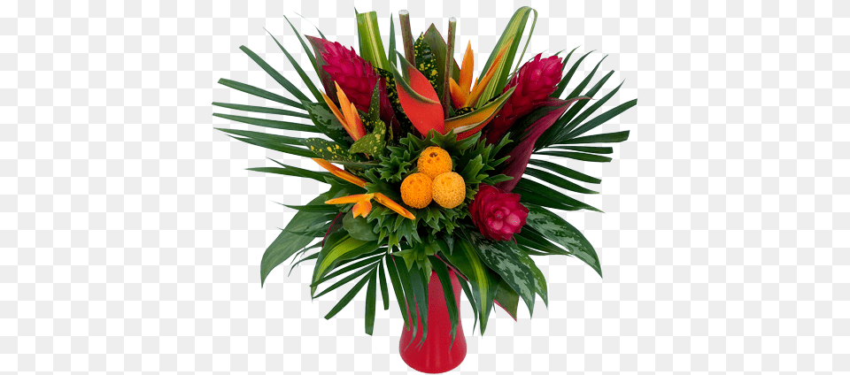 Tropical Flowers Arrangements Fresh, Art, Floral Design, Flower, Flower Arrangement Free Png