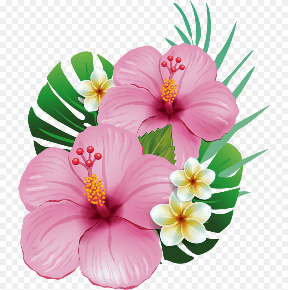 Tropical Flowers Clipart Moana Flores, Anther, Flower, Plant, Hibiscus Free Png
