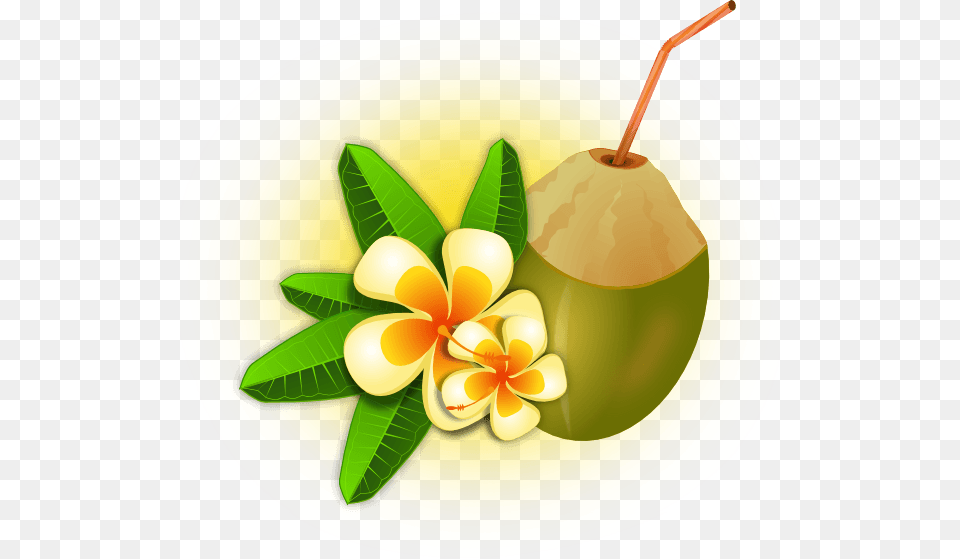 Tropical Flowers Cliparts, Food, Fruit, Plant, Produce Free Transparent Png