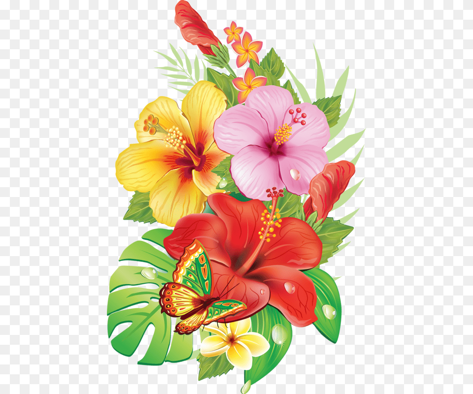 Tropical Flowers Drawings, Flower, Plant, Hibiscus Free Png Download