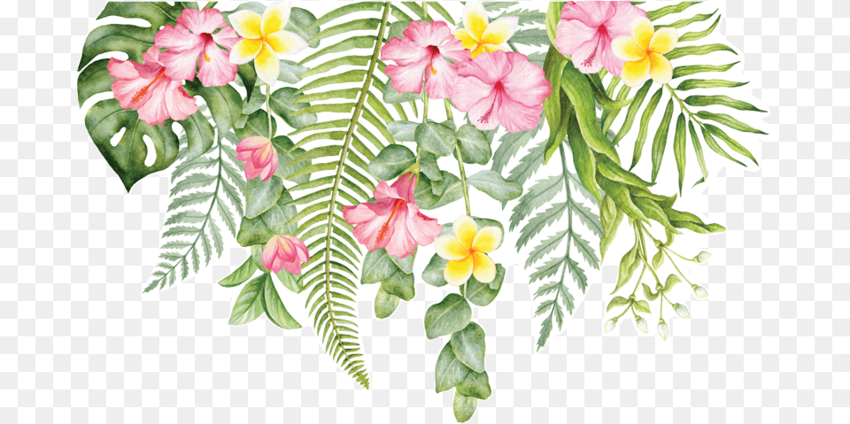 Tropical Flowers For Greenery Background Tropical Flowers, Art, Flower, Graphics, Leaf Free Transparent Png