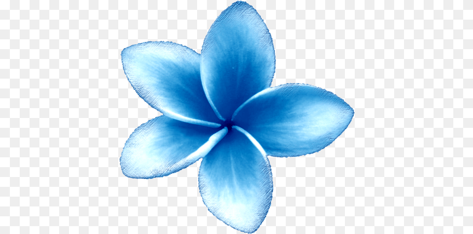 Tropical Flowers Get Animated Blue River Blue Blue Flower Clipart, Anemone, Petal, Plant, Accessories Free Png Download