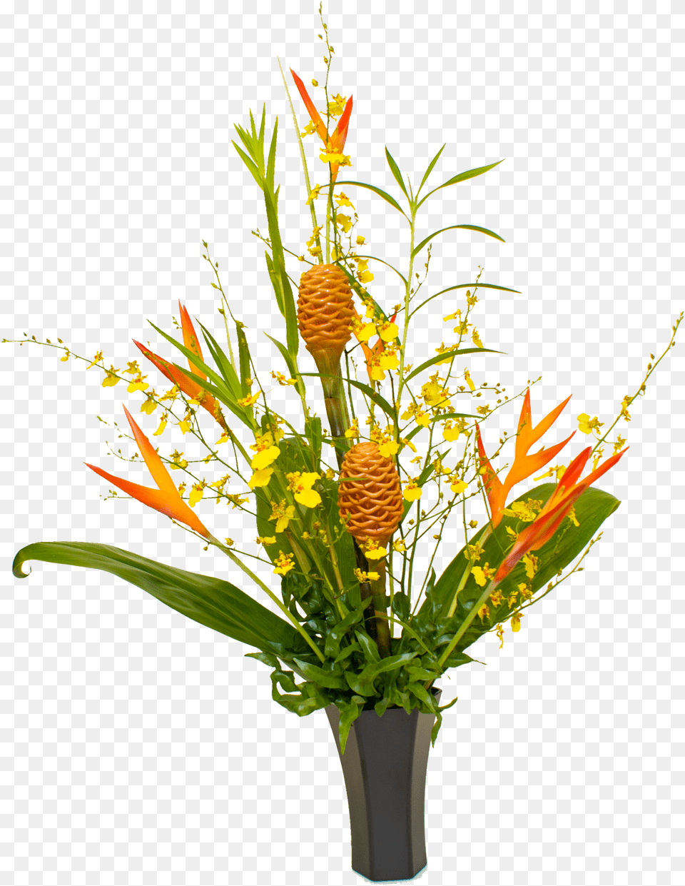 Tropical Flowers Plant Clipart Floral Design, Ikebana, Flower, Flower Arrangement, Flower Bouquet Free Png Download