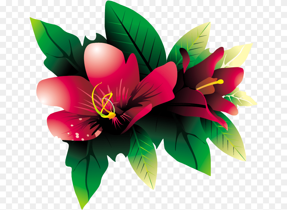 Tropical Flowers Transparent Flowerspng Images Vector Tropical Flower, Art, Graphics, Plant, Floral Design Png Image