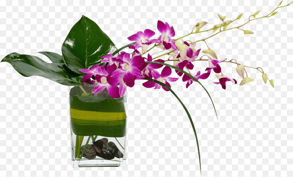 Tropical Flowers Tropical Breeze Bouquet Vase, Flower, Flower Arrangement, Ikebana, Plant Free Png