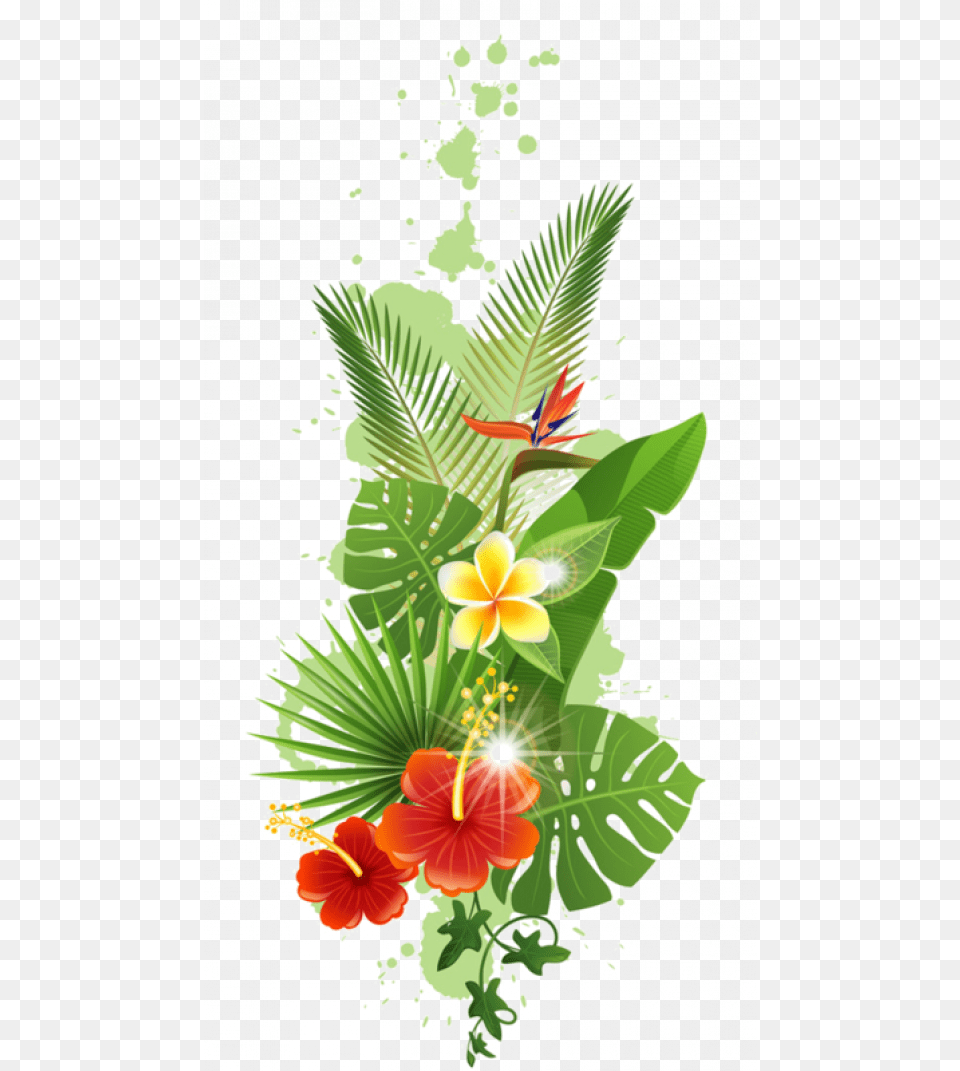 Tropical Forest Flowers, Art, Pattern, Plant, Graphics Png Image