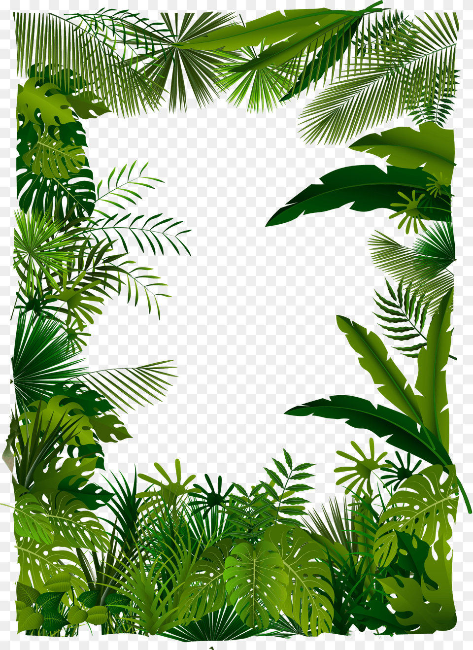 Tropical Forest Vector, Outdoors, Summer, Rainforest, Plant Png