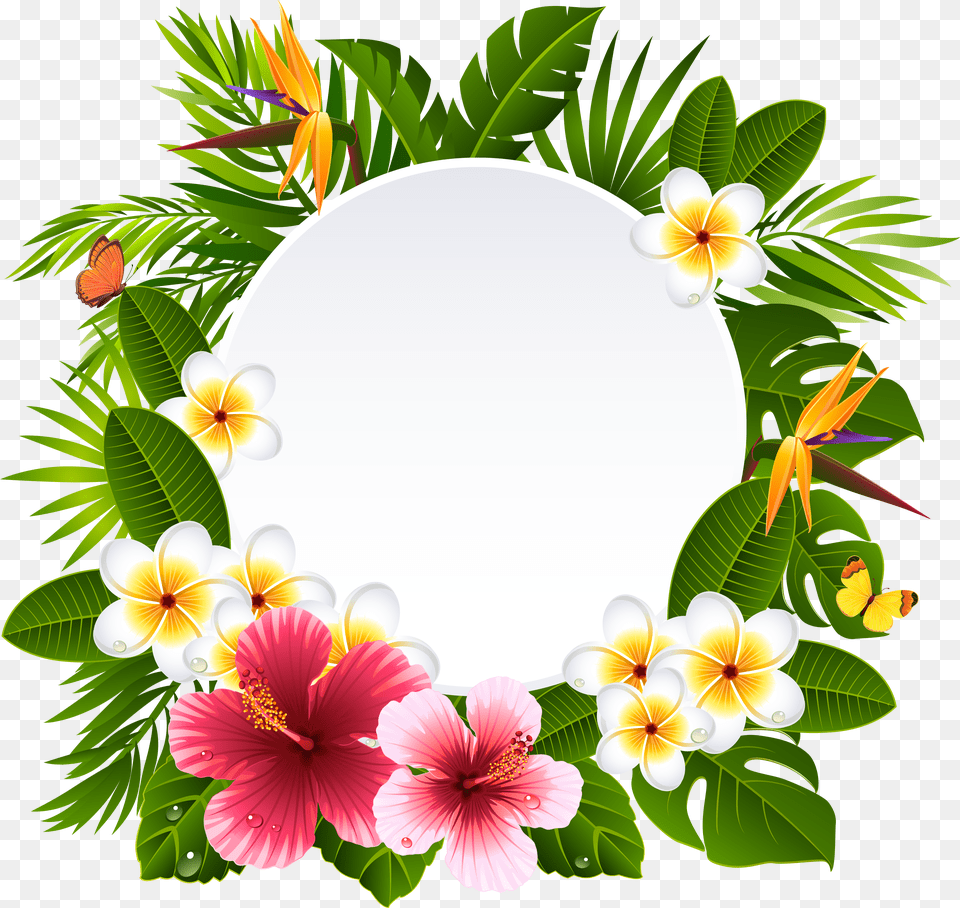 Tropical Frame Cliparts Tropical Flower Frame Png