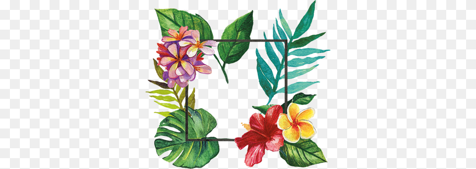 Tropical Frame Floral Decal Marco Tropical, Art, Graphics, Floral Design, Flower Free Png