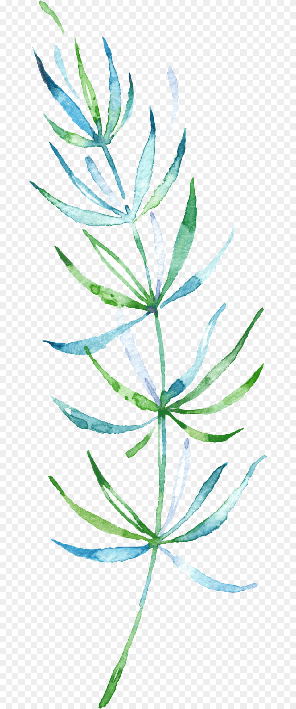 Tropical Fresh Green Watercolor Branches Watercolor Painting, Herbal, Herbs, Leaf, Plant Free Transparent Png