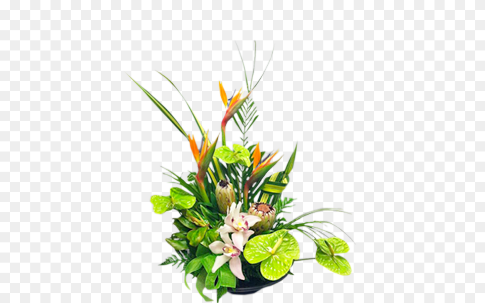 Tropical Green, Flower, Flower Arrangement, Flower Bouquet, Ikebana Png Image