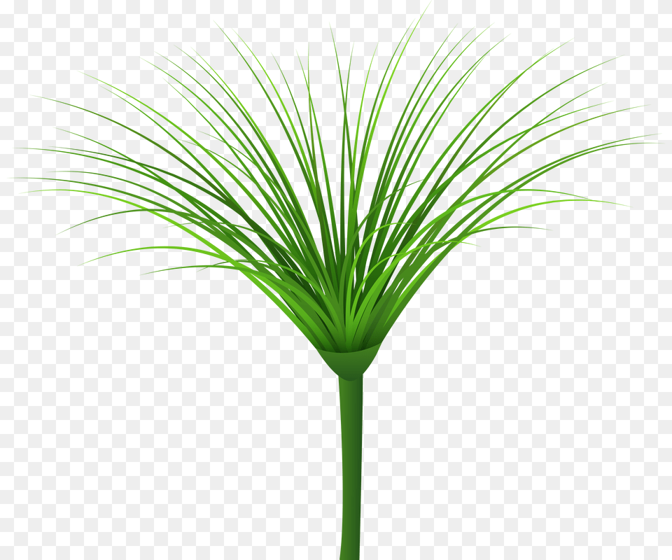 Tropical Green Leaf Clip Art, Plant, Palm Tree, Tree, Food Free Png Download