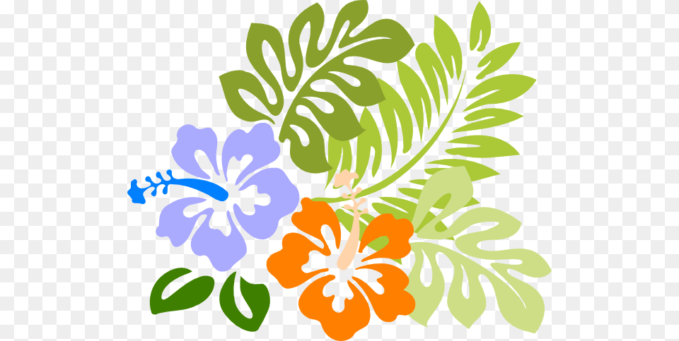 Tropical Hawaiian Clip Art Hawaiian Flower Hawaiian Luau, Herbal, Herbs, Plant, Hibiscus Free Png