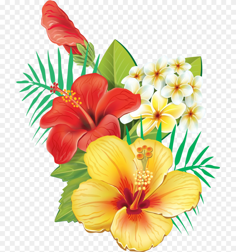 Tropical Hawaiian Flowers, Flower, Plant, Flower Arrangement, Flower Bouquet Png Image