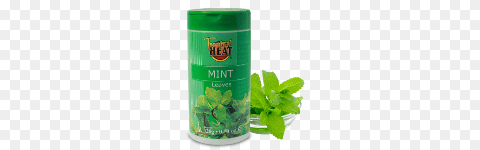 Tropical Heat Mint Rubbed Jar, Herbal, Herbs, Plant, Bottle Free Png Download