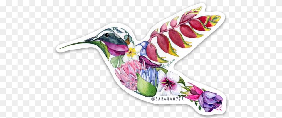 Tropical Hummingbird Sticker Sarah Voyer Hummingbird Made Of Flowers, Animal, Bird Png Image