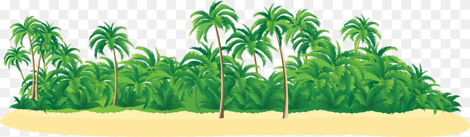 Tropical Island Png Image