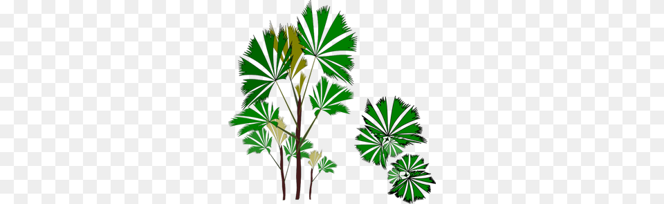 Tropical Island Clipart, Green, Tree, Plant, Palm Tree Png