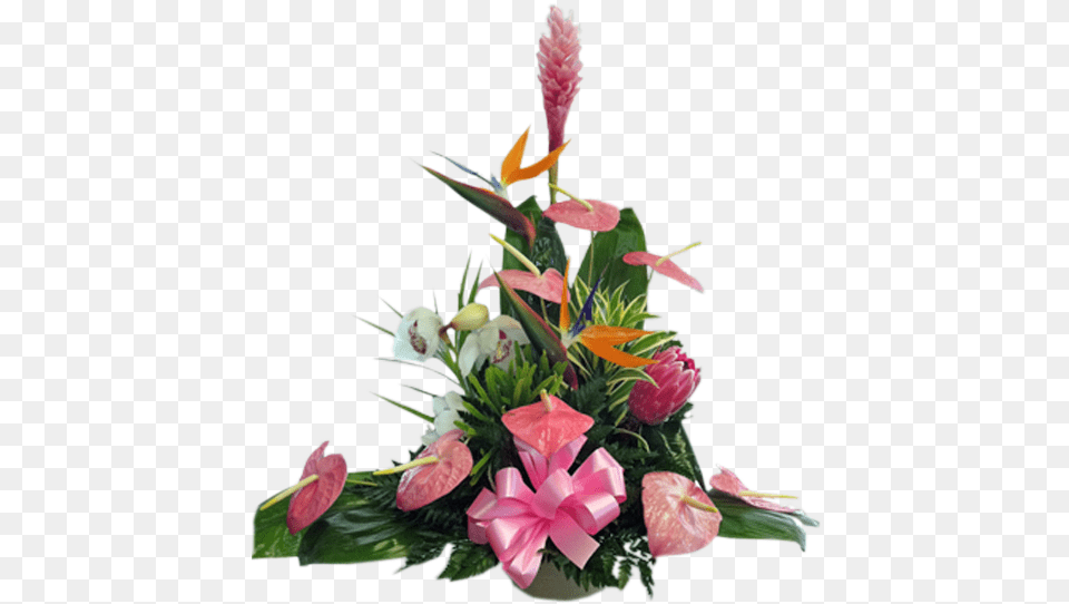 Tropical Island Floral, Flower, Flower Arrangement, Flower Bouquet, Plant Png Image