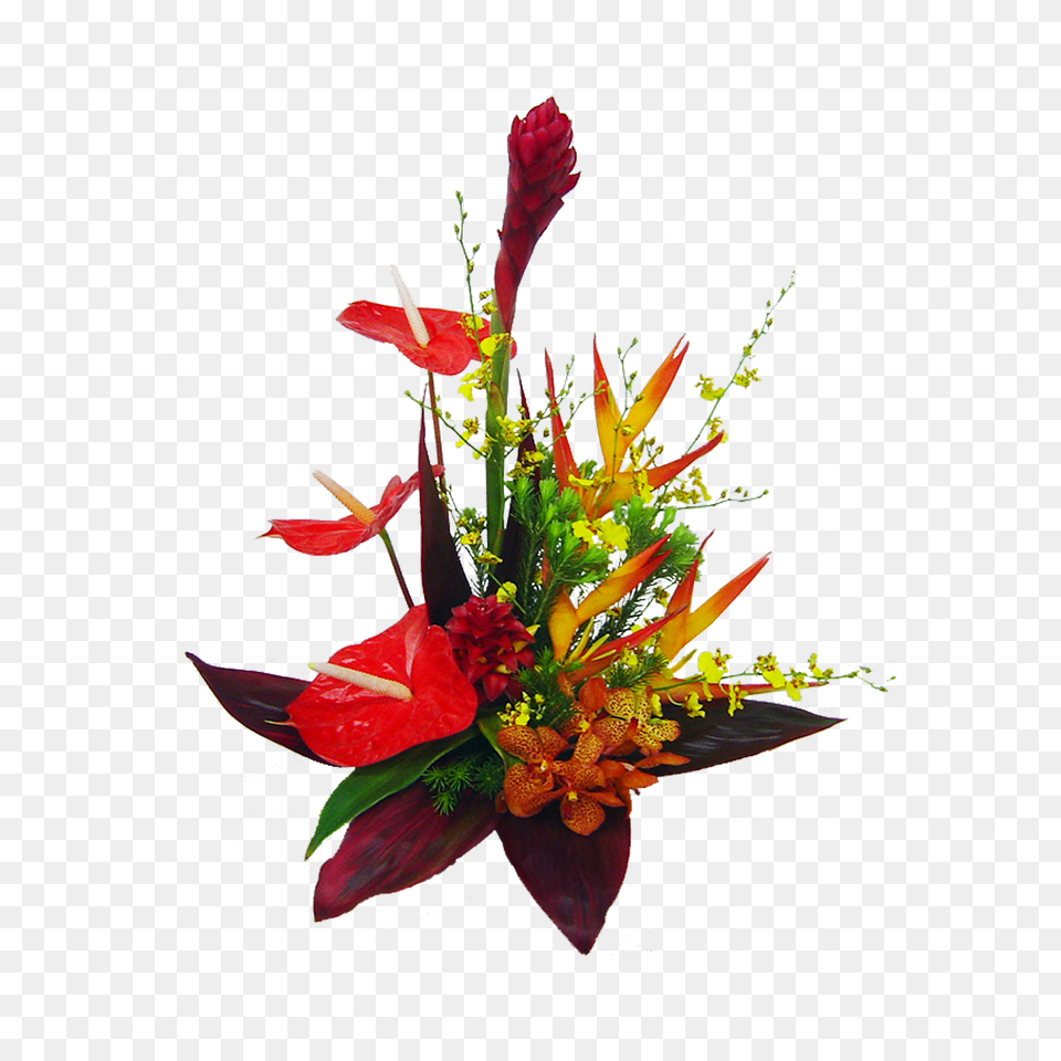 Tropical Island Flowers Tropical Flower Bouquet Real Tropical Flowers, Art, Floral Design, Flower Arrangement, Flower Bouquet Free Png Download