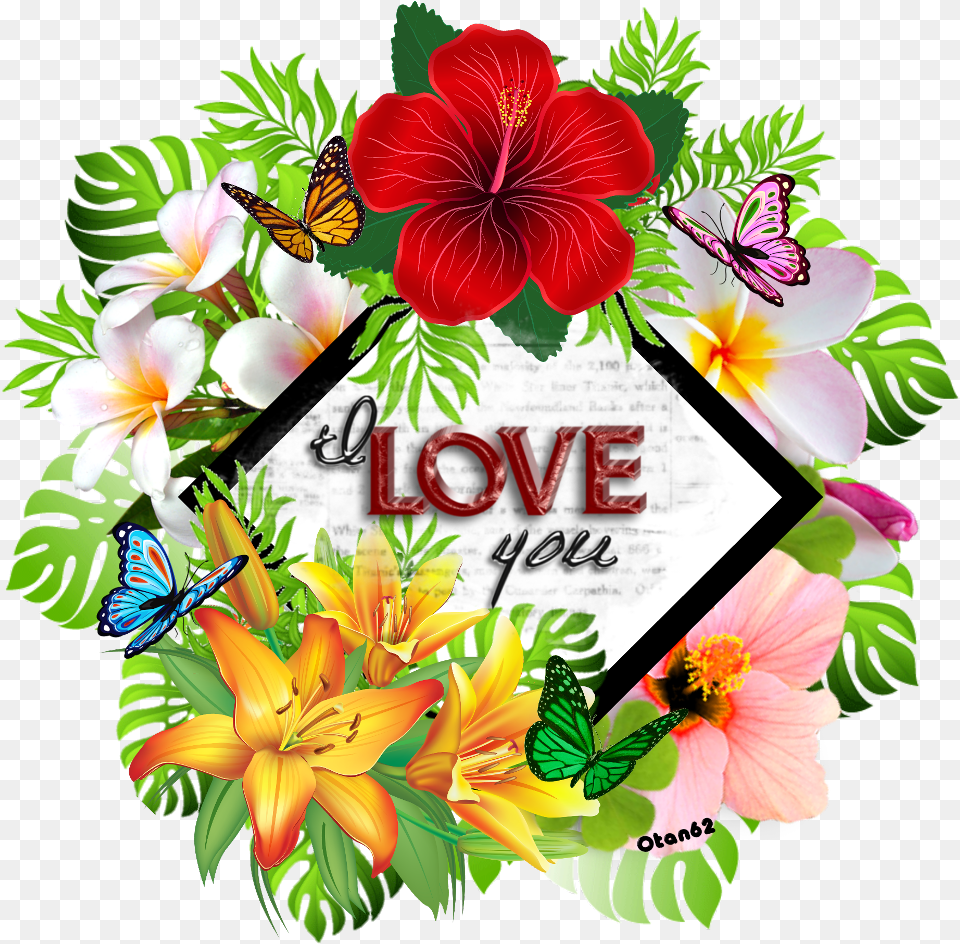 Tropical Island Love Hd, Flower, Plant, Art, Graphics Free Png Download