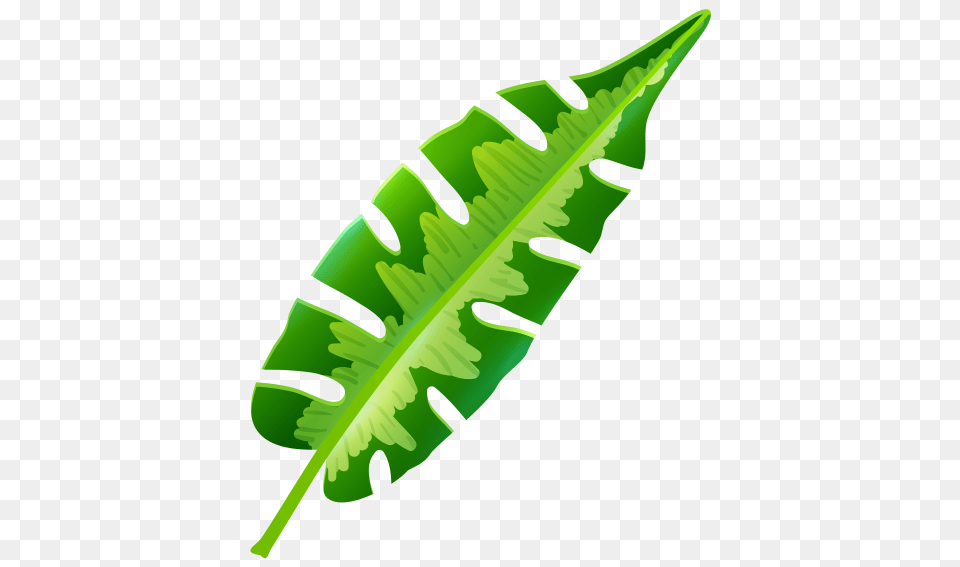 Tropical Leaf, Plant, Dynamite, Weapon Png Image