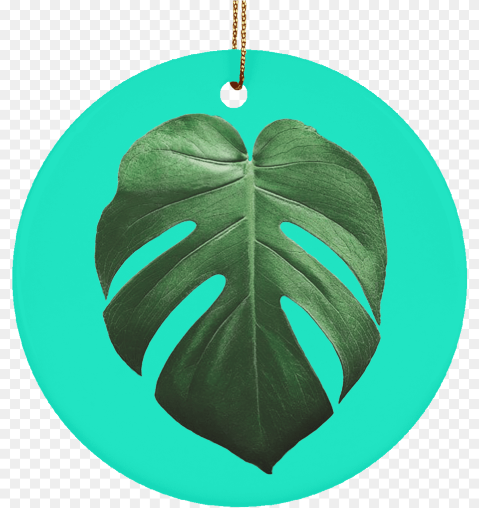 Tropical Leaf, Plant, Accessories Png