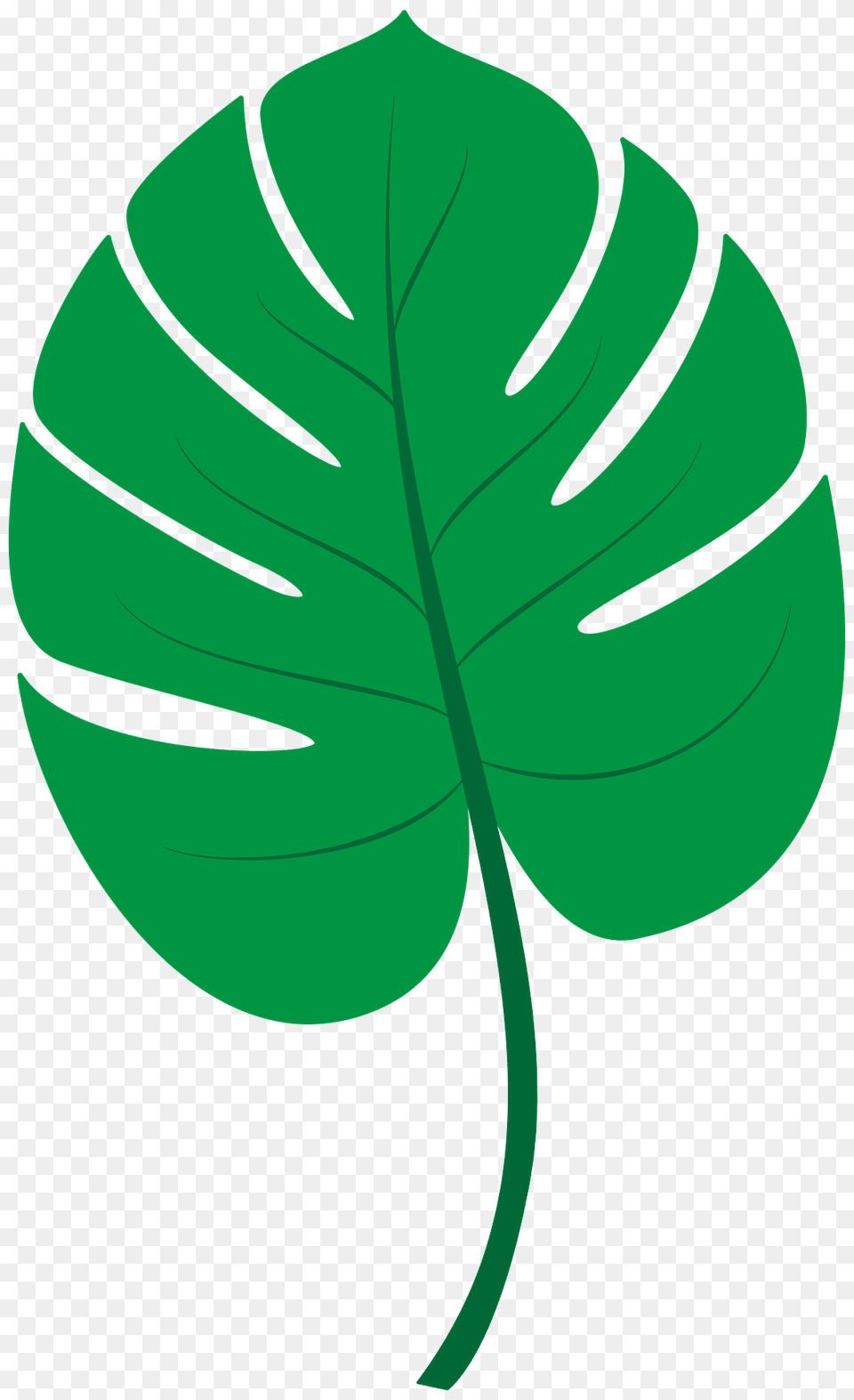 Tropical Leaf Clipart, Green, Plant, Vegetation, Herbal Png Image