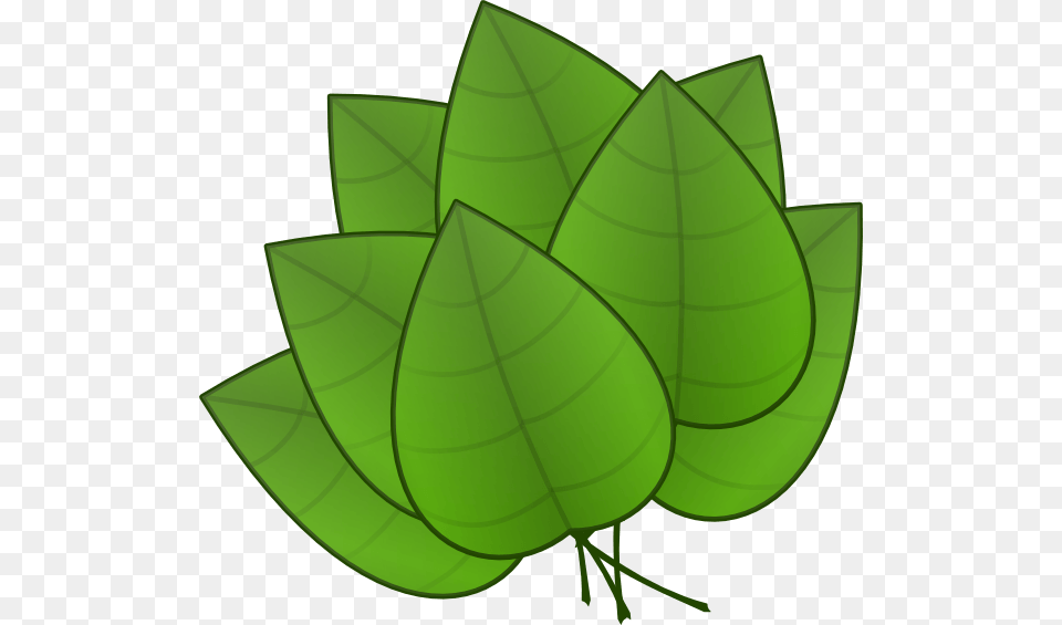 Tropical Leaf Cliparts, Green, Plant, Herbal, Herbs Free Png Download