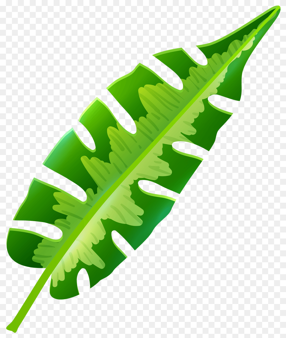 Tropical Leaf Cliparts, Plant, Dynamite, Weapon Free Transparent Png