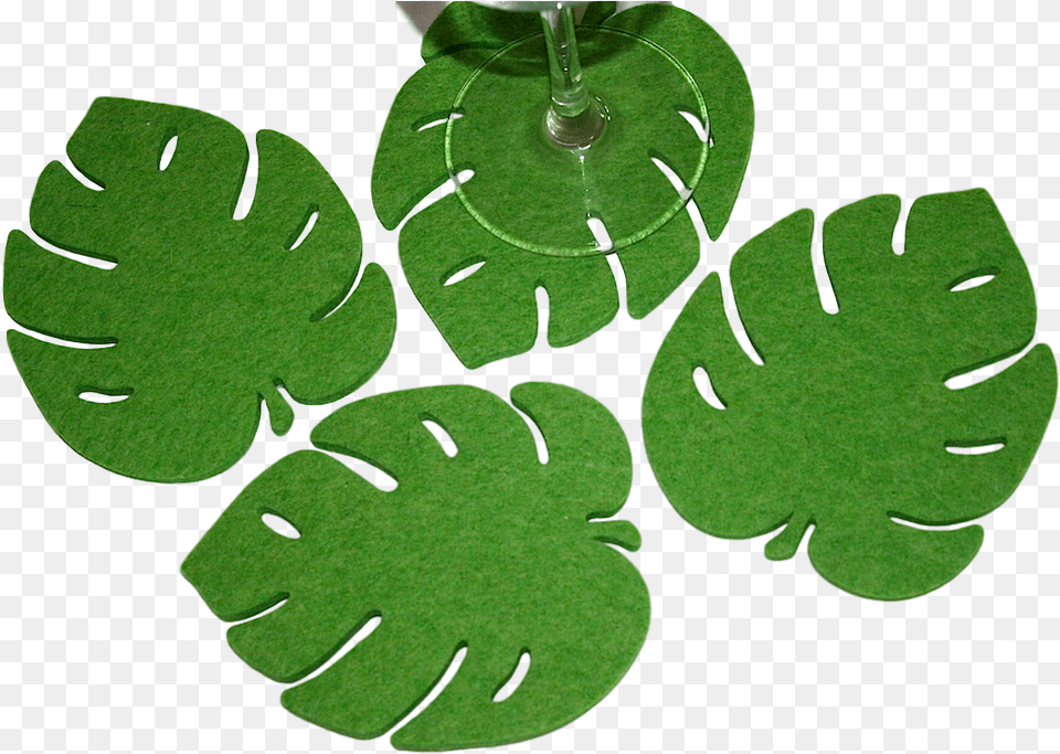 Tropical Leaf Felt, Moss, Plant, Green, Face Png