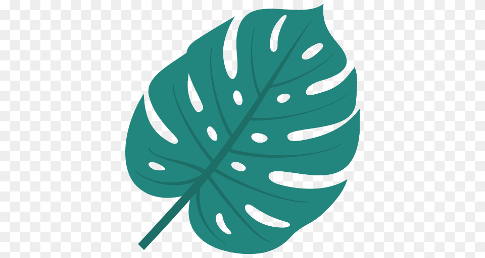 Tropical Leaf Icon Of Summer Icons, Plant, Face, Head, Person Free Transparent Png