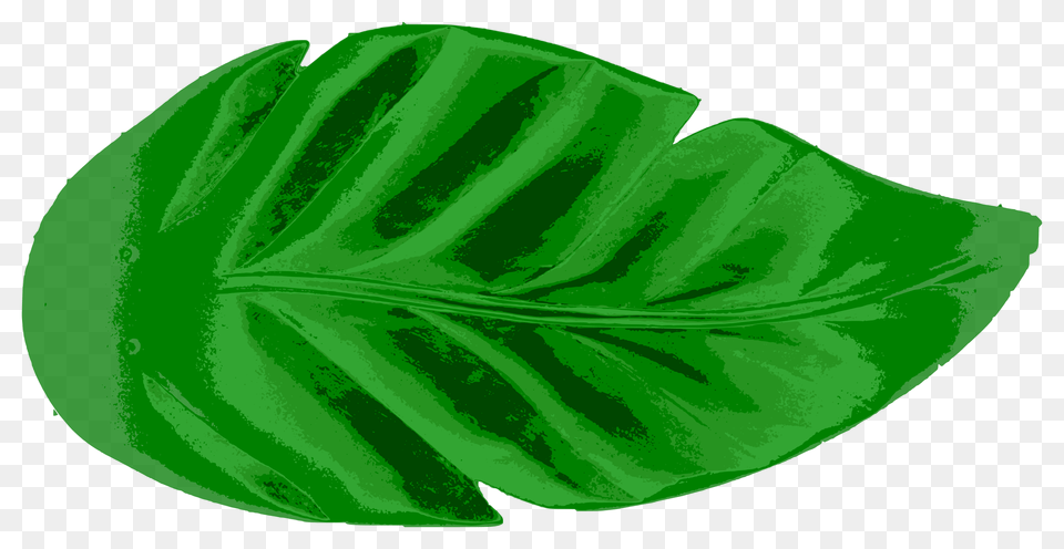 Tropical Leaf Icons, Plant, Green Png Image