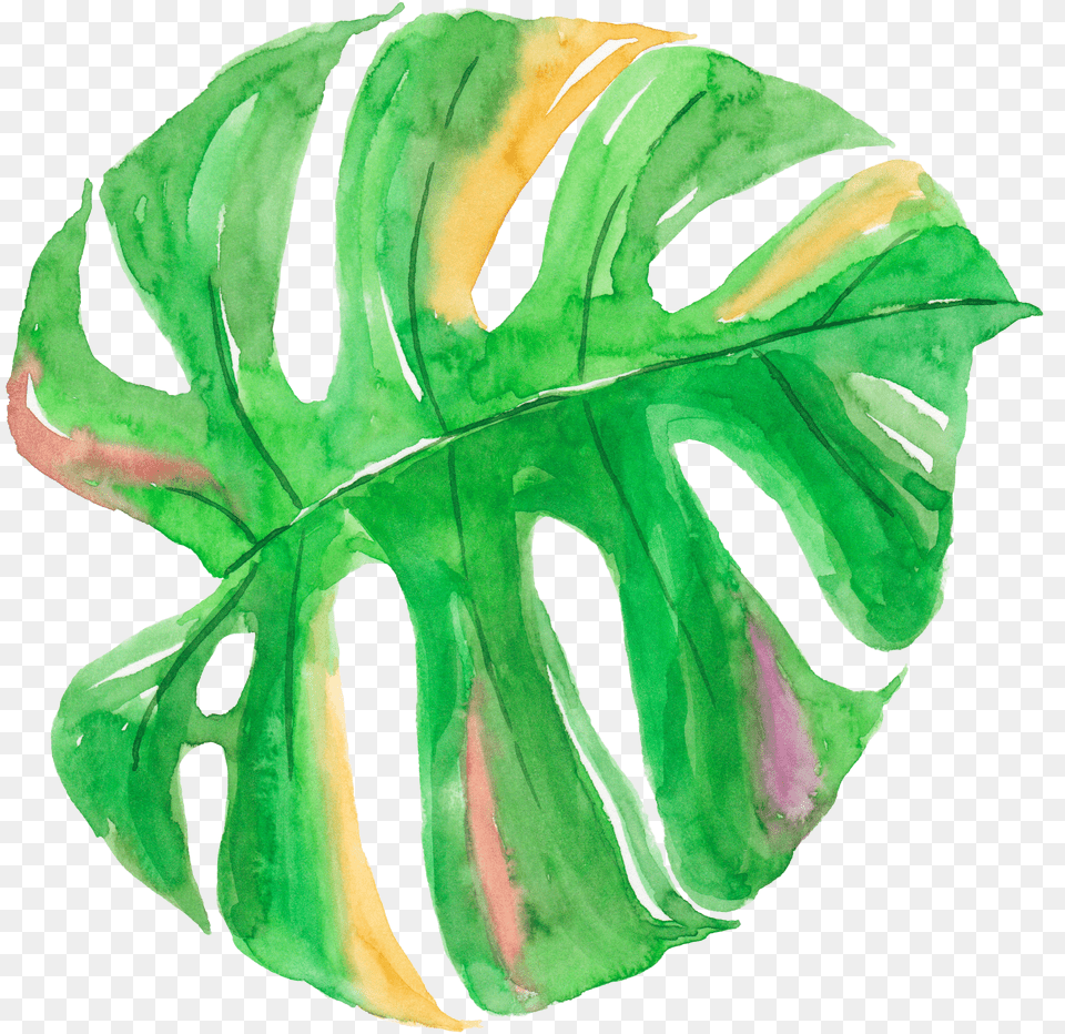 Tropical Leaf Watercolor Banner Library Palm Leaves Watercolor Painting Free Png