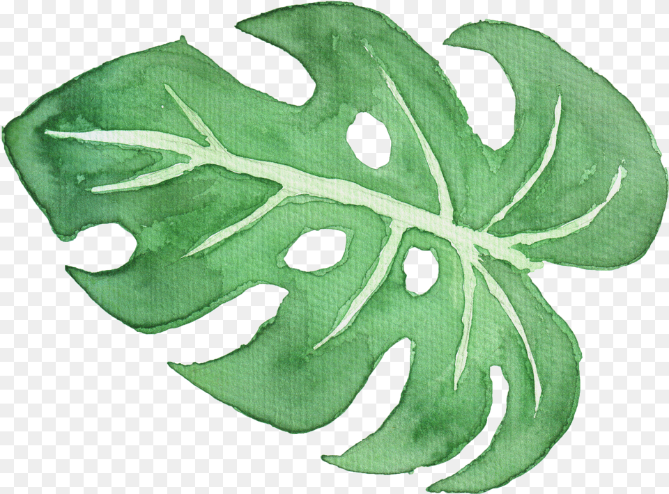 Tropical Leaf Watercolor Watercolor Palm Leaf, Gray Png Image
