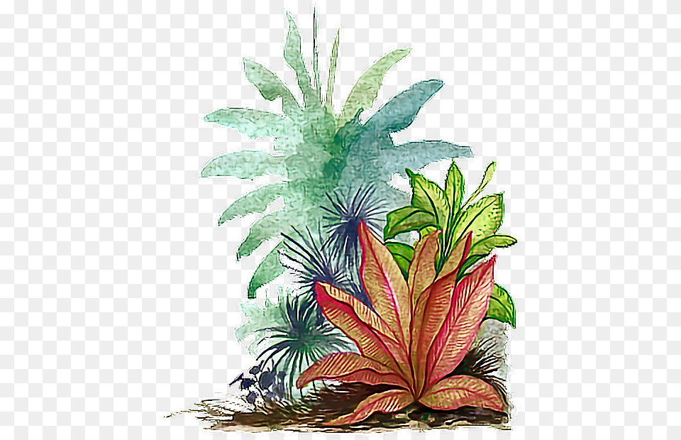 Tropical Leaves, Art, Plant, Pattern, Vegetation Free Transparent Png