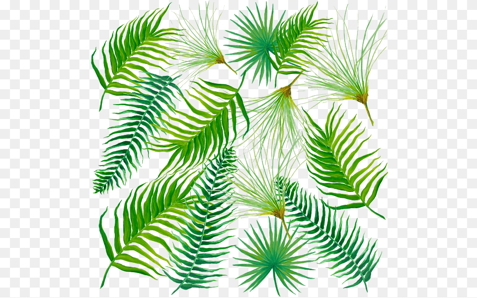Tropical Leaves And Ferns Round Beach Towel Leaf, Fern, Plant, Tree, Vegetation Png