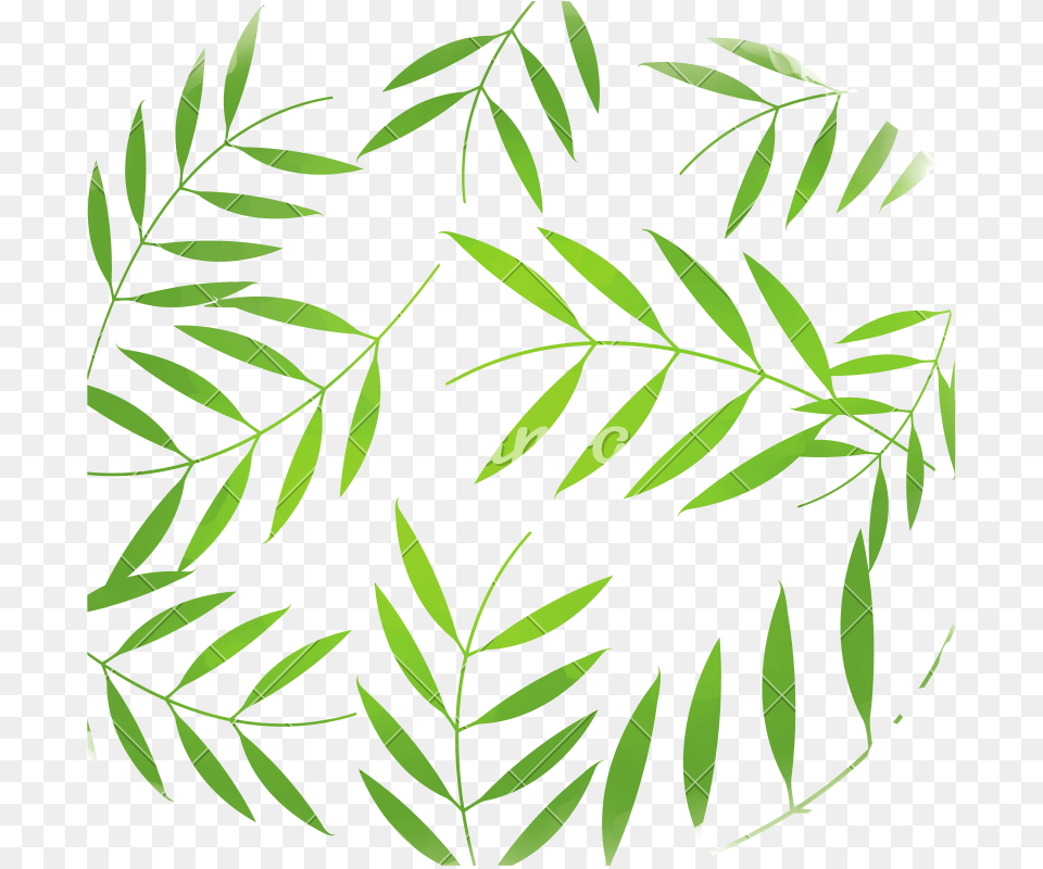 Tropical Leaves Background Design Vector Illustration, Leaf, Plant, Pattern, Green Free Png Download