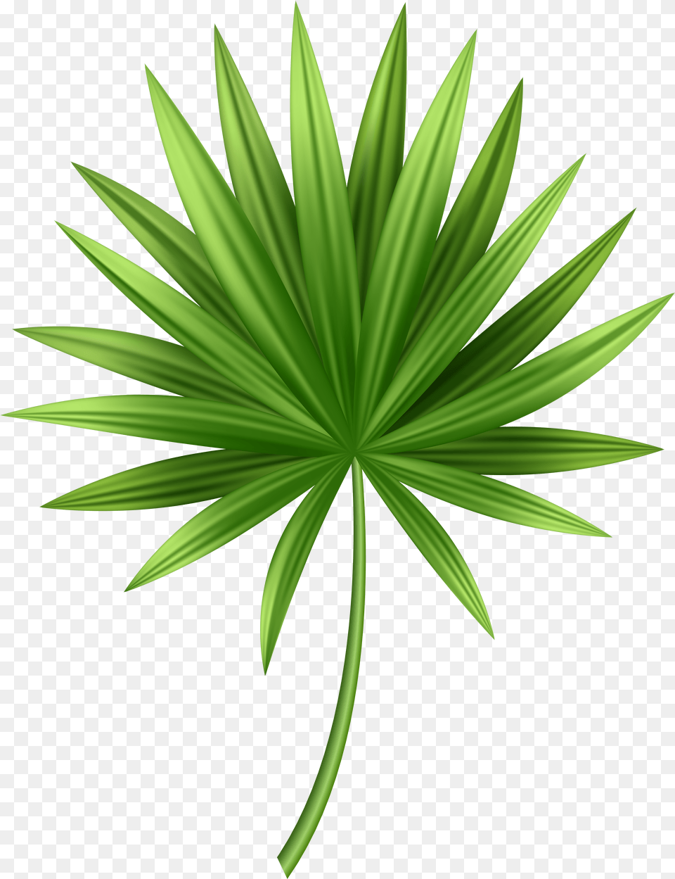 Tropical Leaves Clip Art Tropical Leaves Png