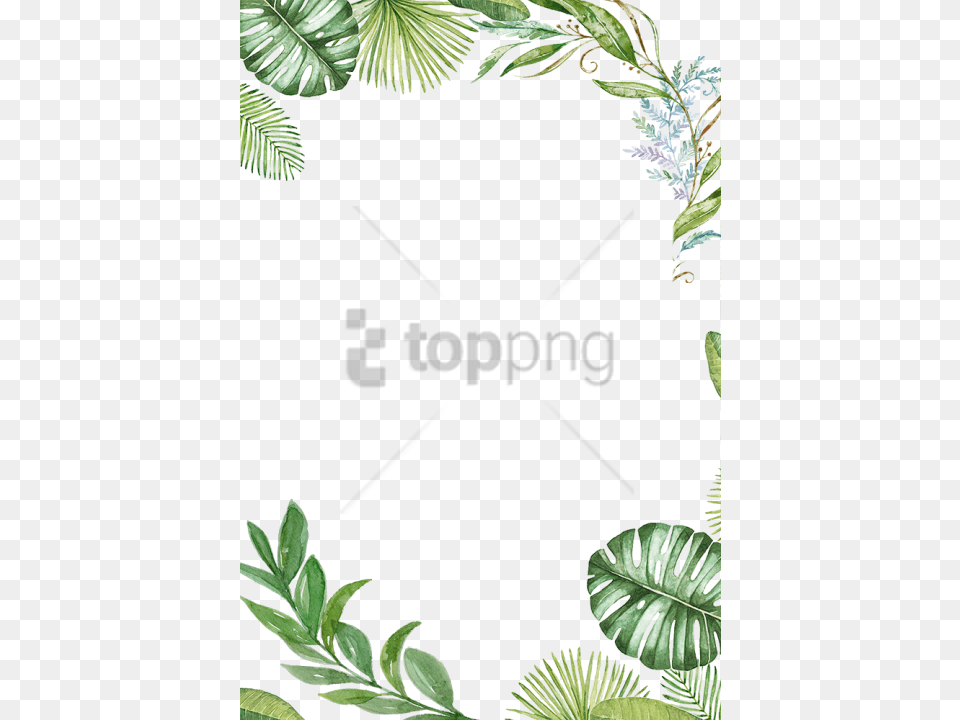 Tropical Leaves Frame With Transparent Tropical Leaves Frame, Vegetation, Plant, Leaf, Herbs Png Image