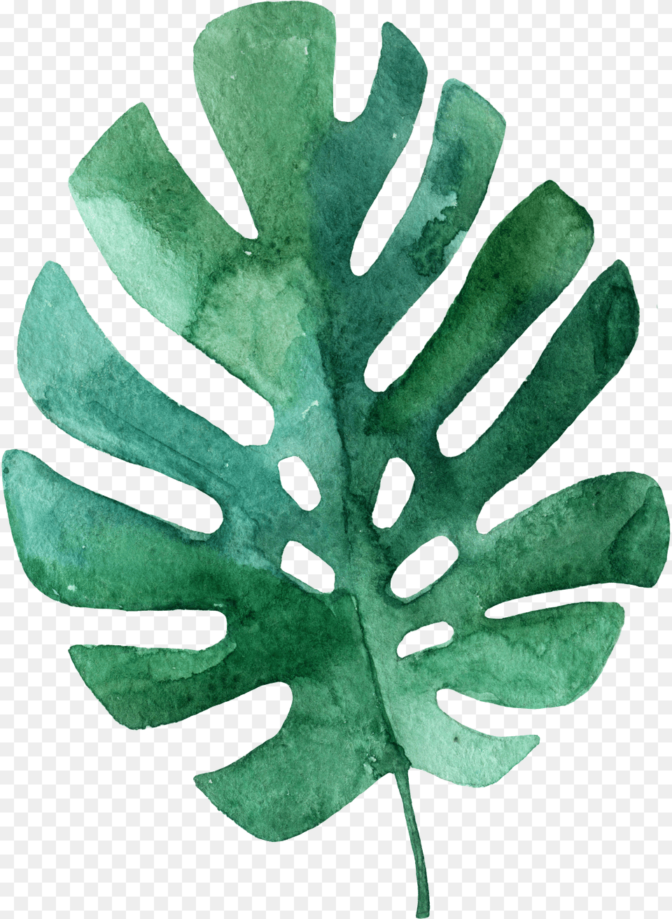 Tropical Leaves Hand Drawn Easy Tropical Leaf Drawing Free Png