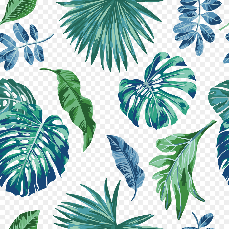 Tropical Leaves Illustration, Art, Plant, Outdoors, Nature Png