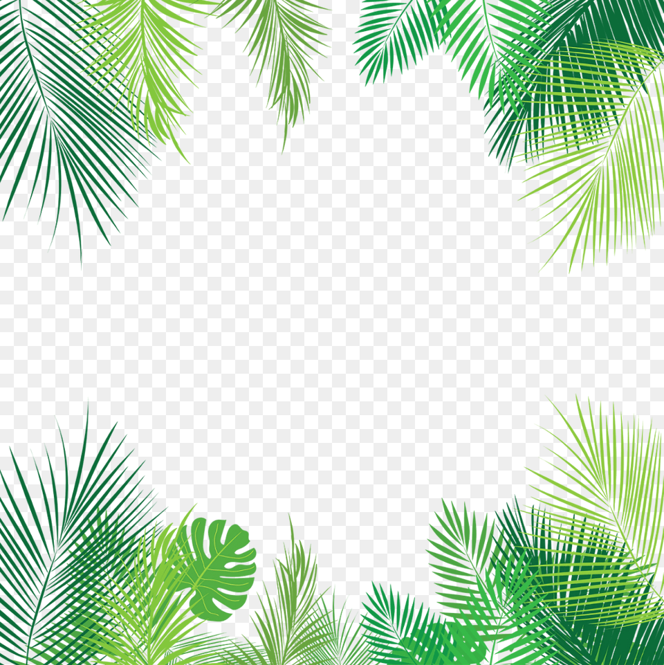 Tropical Leaves Palmleaves Summer Border Overlay Freeto Tropical Leaves Border, Vegetation, Tree, Green, Plant Free Png