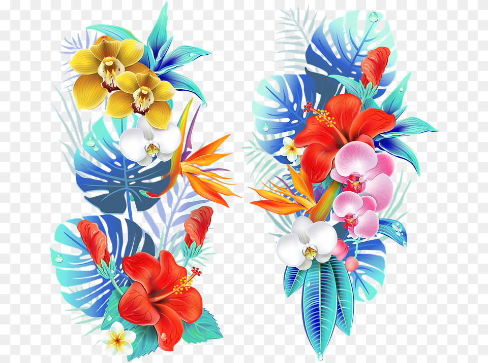Tropical Medellin Flowers Fair Of Tropical Flower Vector, Art, Floral Design, Graphics, Pattern Free Png