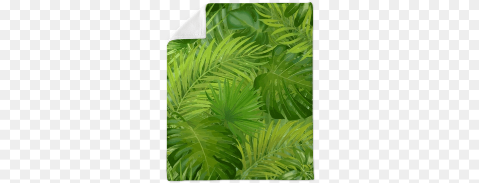 Tropical Palm Leaves Jungle Leaf Seamless Vector Floral Leaf, Fern, Plant, Vegetation, Outdoors Png