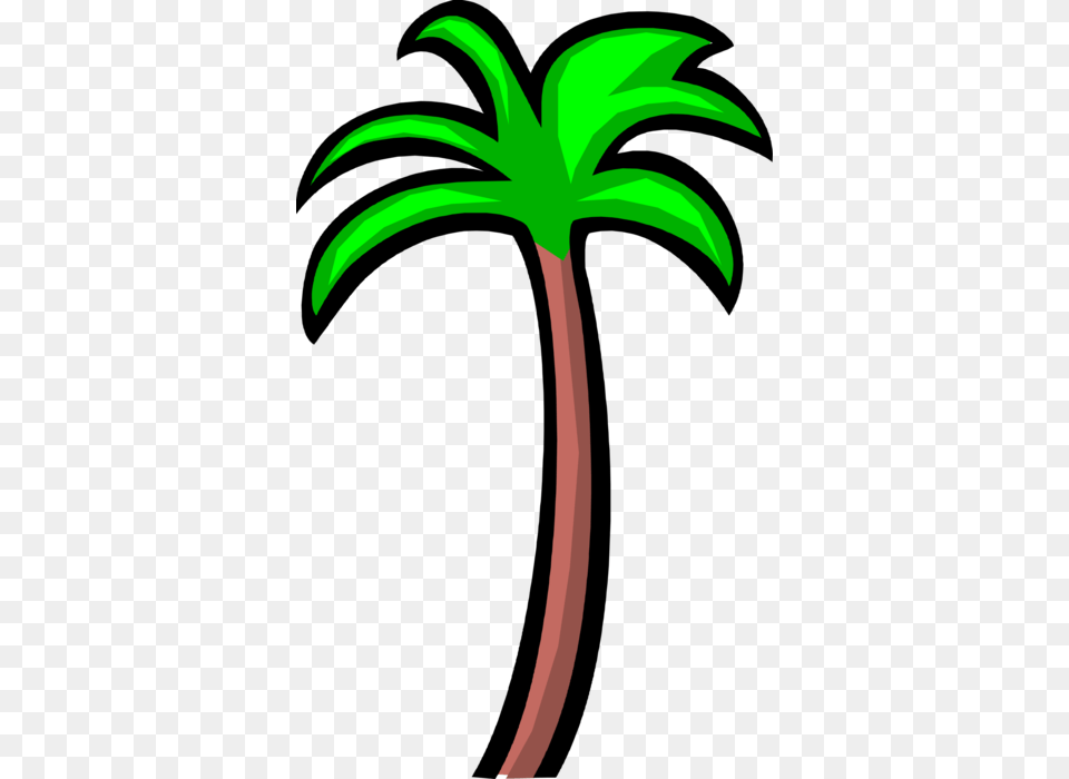 Tropical Palm Tree, Palm Tree, Plant, Cross, Symbol Png