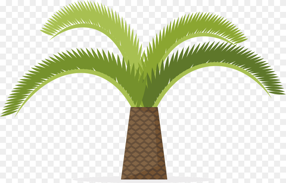 Tropical Palm Tree Clipart, Palm Tree, Plant Free Transparent Png