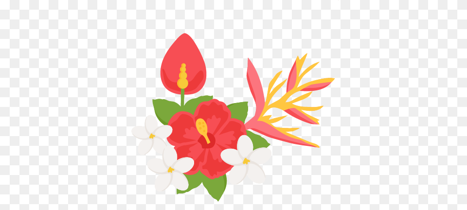 Tropical Plants, Flower, Plant, Art, Floral Design Free Transparent Png